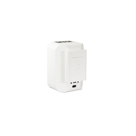 Bluesound BP100 Batterie