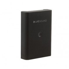 Bluesound BP100 Batterie