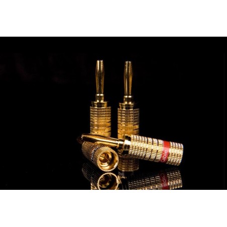 Norstone Fiches Banane