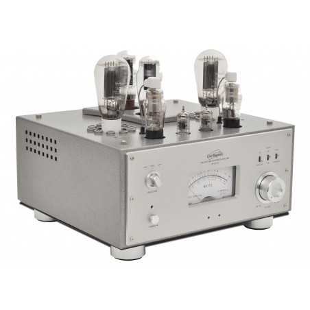 Line Magnetic LM-210IA