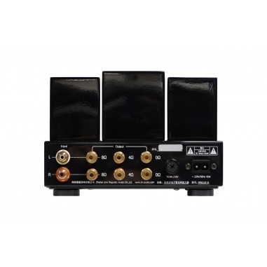 Line Magnetic LM-MINI-218IA Connectique