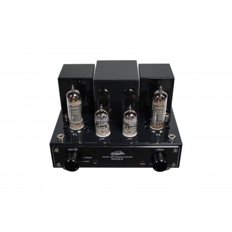 Line Magnetic LM-MINI-218IA Noir