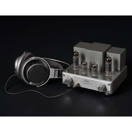 Line Magnetic LM-MINI-218IA Silver avec casque