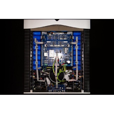 Audia Flight Strumento N°8 intérieur