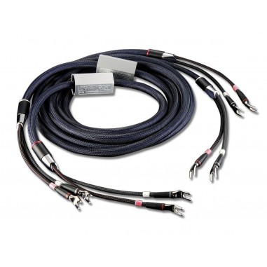 Furutech Reference III Speaker