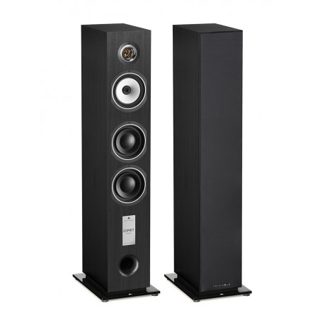 Enceinte colonne Triangle Gaia EZ