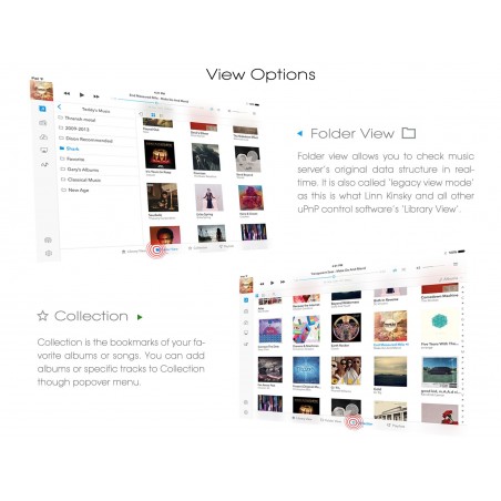 Auralic Lightning DS