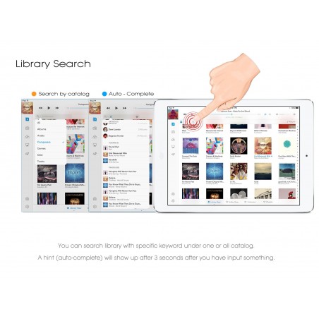 Auralic Lightning DS