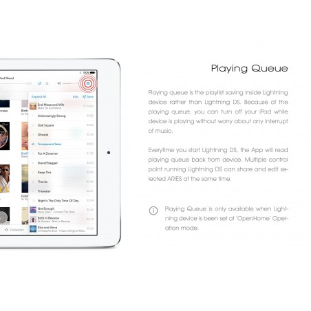 Auralic Lightning DS