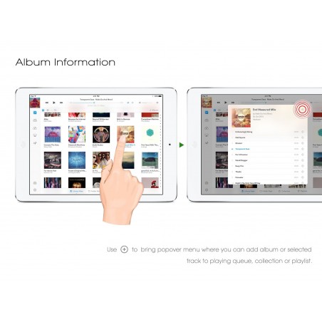 Auralic Lightning DS