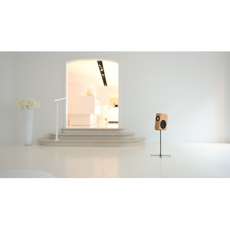 Boenicke Audio W5 SE