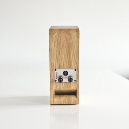 Boenicke Audio W5 SE arrière