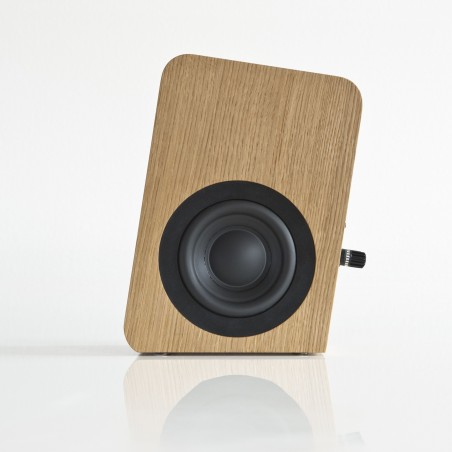Boenicke Audio W5 SE woofer