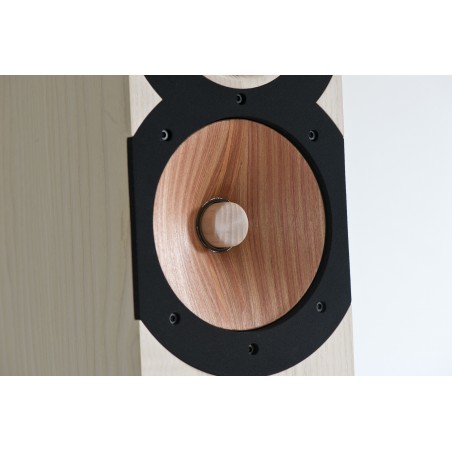 Boenicke Audio W11 SE haut-parleur
