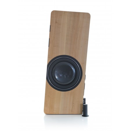 Boenicke Audio W13