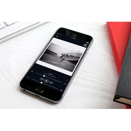 Bluesound Power Node 2 BluOS