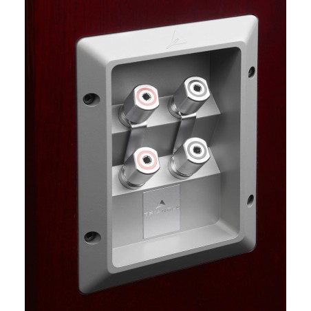 Enceinte colonne Triangle Signature Delta