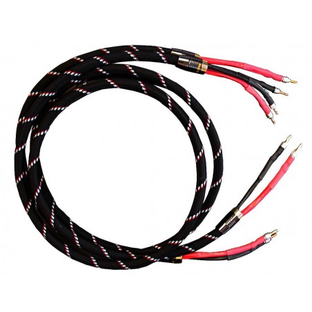 Real Cable Chambord II-SP