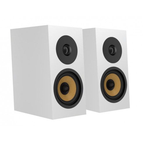 Davis Acoustics Courbet n°3