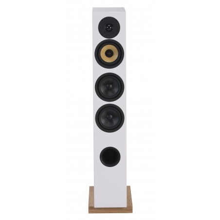 Davis Acoustics Courbet n°5 face