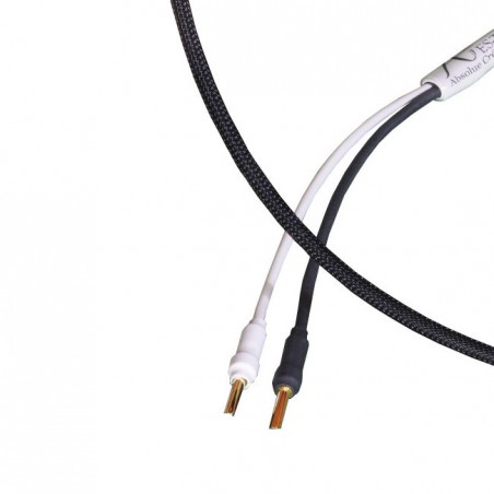 Absolue Créations ES-TIM Haut-Parleur