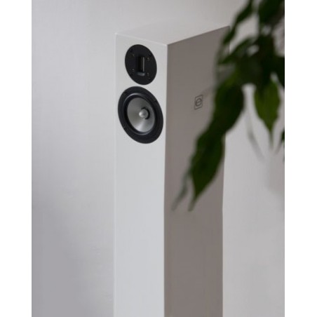 Enceintes colonne haute fidélite Everest Hal13c