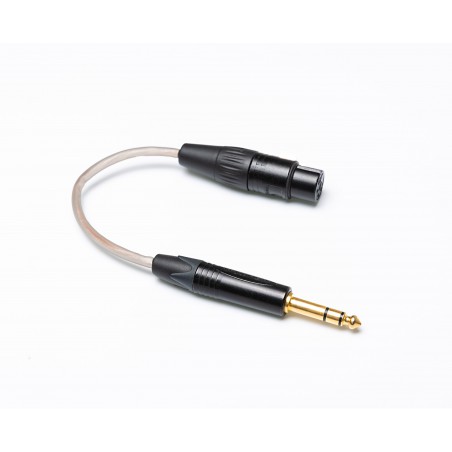 Hifiman HE6se adaptateur