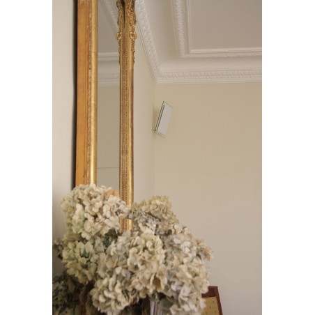 Enceintes compactes Waterfall Audio Hurricane Evo 2.0