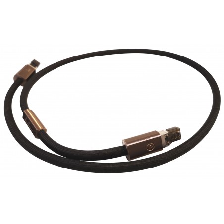 Odeion Gamma Numérique RJ45