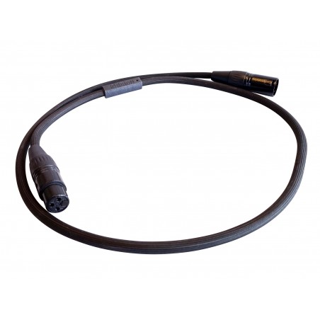 Odeion Omicron Numérique XLR