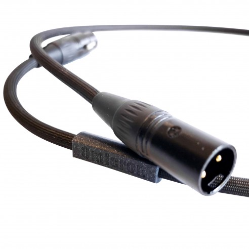 Odeion Omicron Numérique XLR