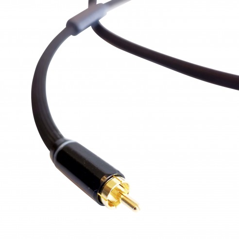 Odeion Omicron Numérique RCA