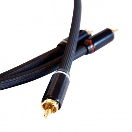 Odeion Omicron Modulation RCA