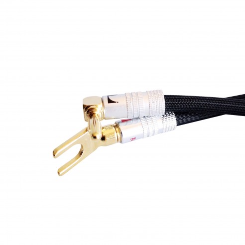 Odeion Omicron Straps