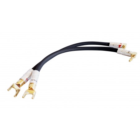 Odeion Omicron Straps