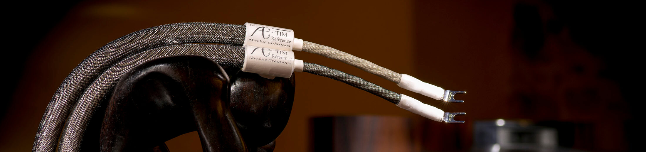 C&acirc;bles pour enceintes Absolue Cr&eacute;ations TIM-Infiny Haut-Parleur